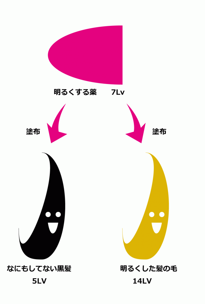 カラーの基礎知塗布01